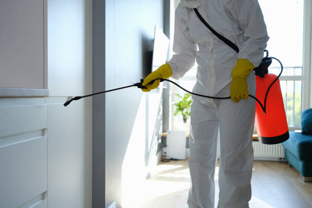 Best Professional Mold Removal  in Ho Ho Kus, NJ