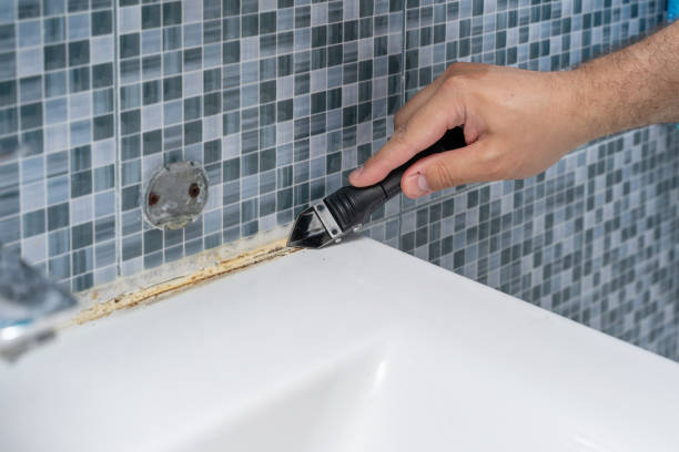 Best Mold Removal Company Near Me  in Ho Ho Kus, NJ