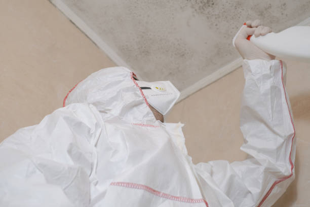 Best Mold Damage Repair  in Ho Ho Kus, NJ
